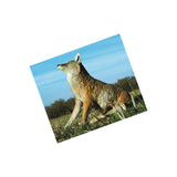 Flambeau Lone Howler Coyote Hunting Decoy